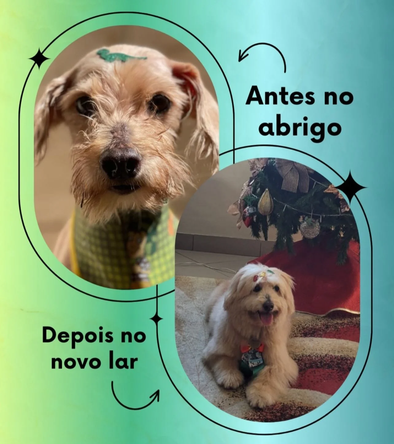 Antes e depois - Caramelo